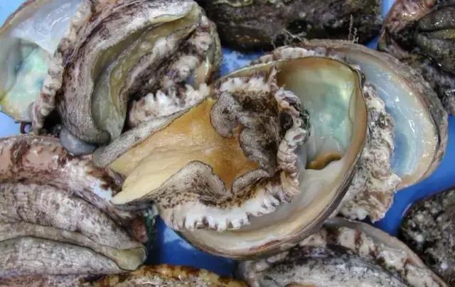 海鲜不可以吃的是哪些,各种海鲜应该吃的部位