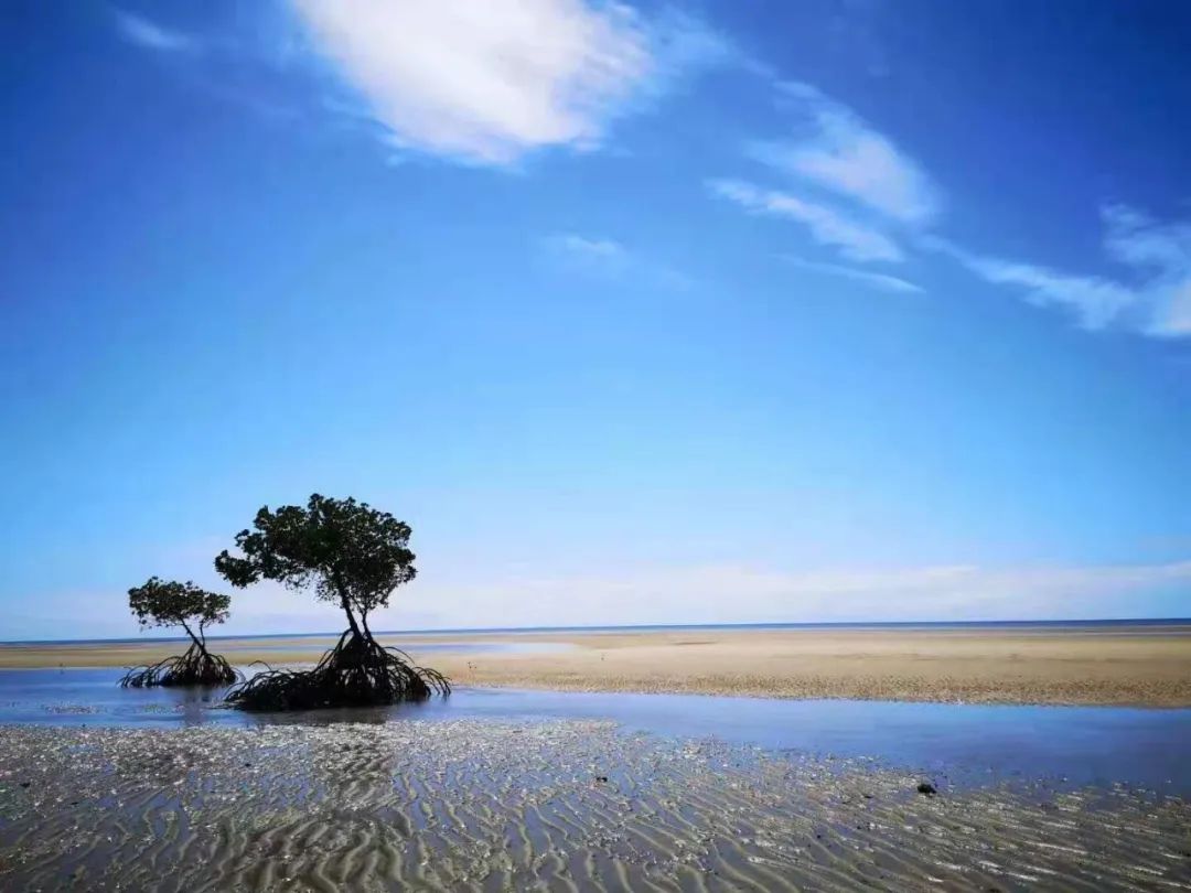 闲舍杂谈丨收藏跑步