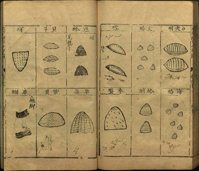 李时珍本草纲目书目录,李时珍本草纲目下卷