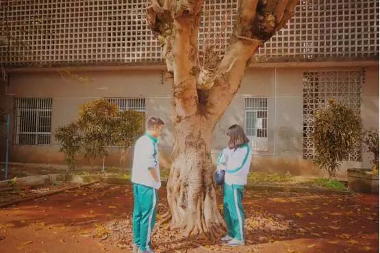 梅州最好的中学排名,梅州最美的学校