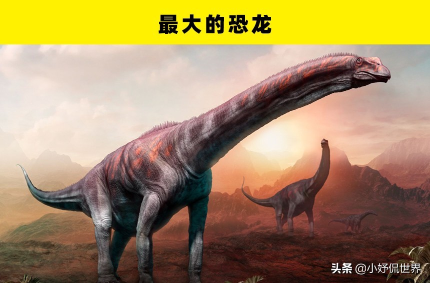 10个至今未被解开的恐龙之谜,关于恐龙的一切资料和恐龙的来源