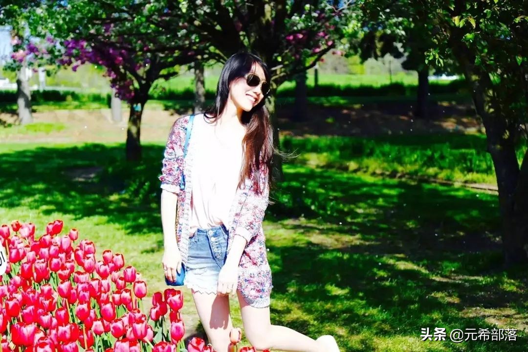 荷兰小镇郁金香盛开,荷兰小镇郁金香花海