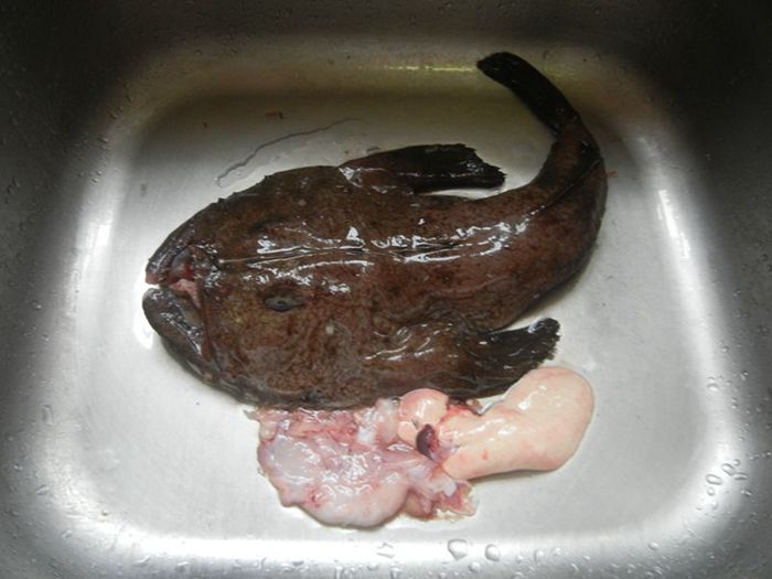 我很丑可是我很温柔无损音乐,我很丑可是我很温柔完整版