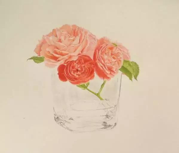 动漫手绘教程水溶彩铅上色技法,彩铅动物毛发技法绘画教程视频