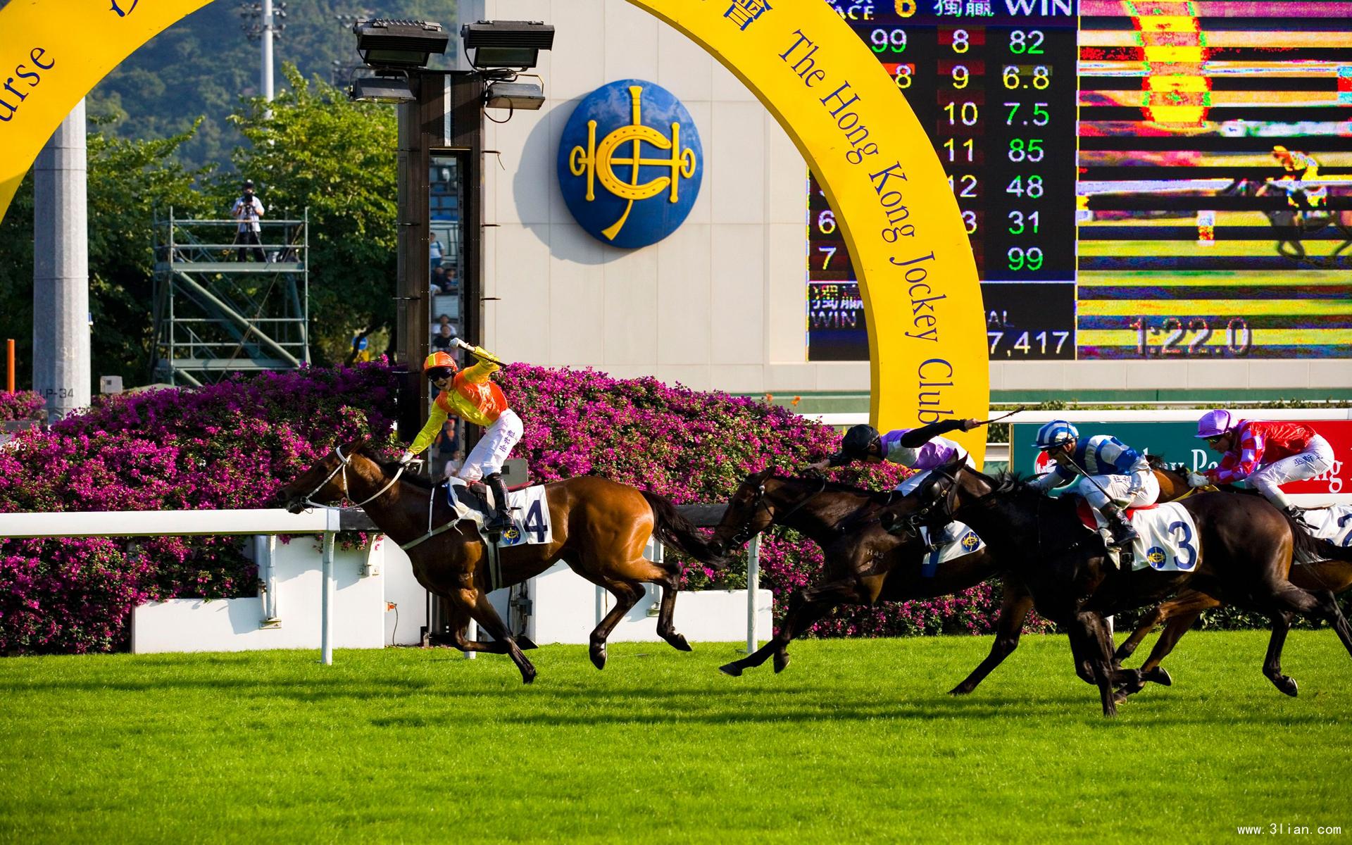 赛马让赛是什么意思,赛马为什么一定要人骑