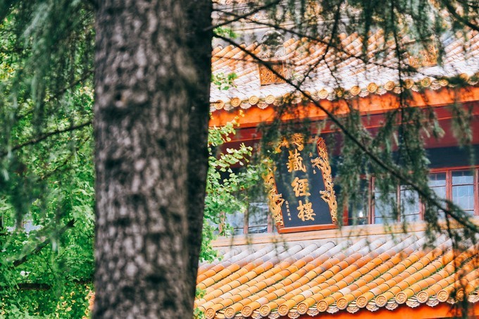 成都美食攻略天府之国,天府之国成都必尝美食