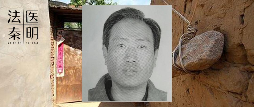 2019年影响力最高的十篇更新，最让你感到震撼的是哪一篇？