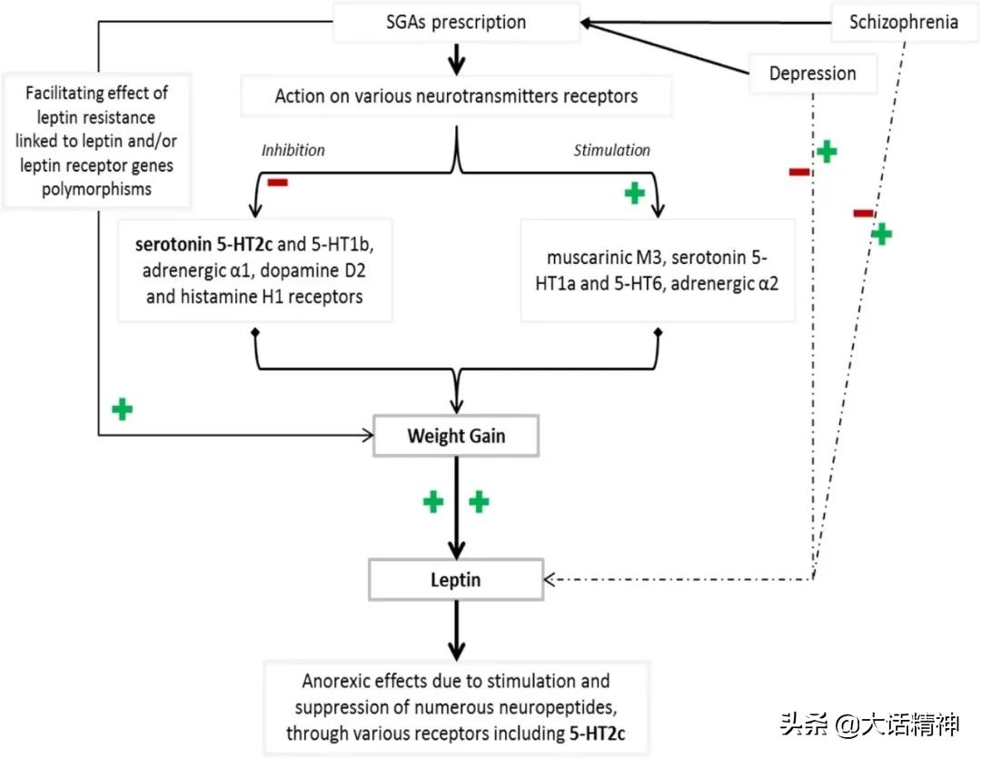 瘦素与精神疾病：瘦素在抗精神药物引起的体重增加中起作用吗？
