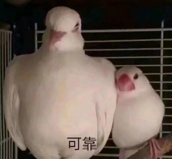 考试前焦虑症状,考试前有点焦虑怎么办