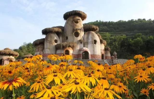 生态农业创业项目分析,休闲农业创业的案例与分析