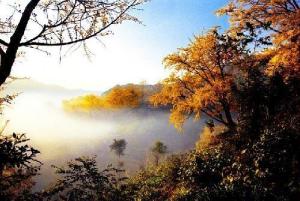 贵州六盘水的介绍,贵州六盘水市属于哪里