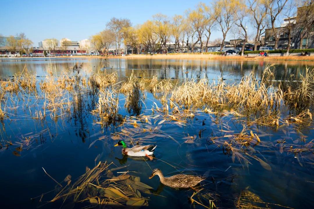合肥市天蓝水碧土净,天蓝水碧土净