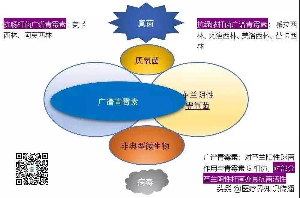 抗菌药谱大全及图片,抗菌谱图解大全