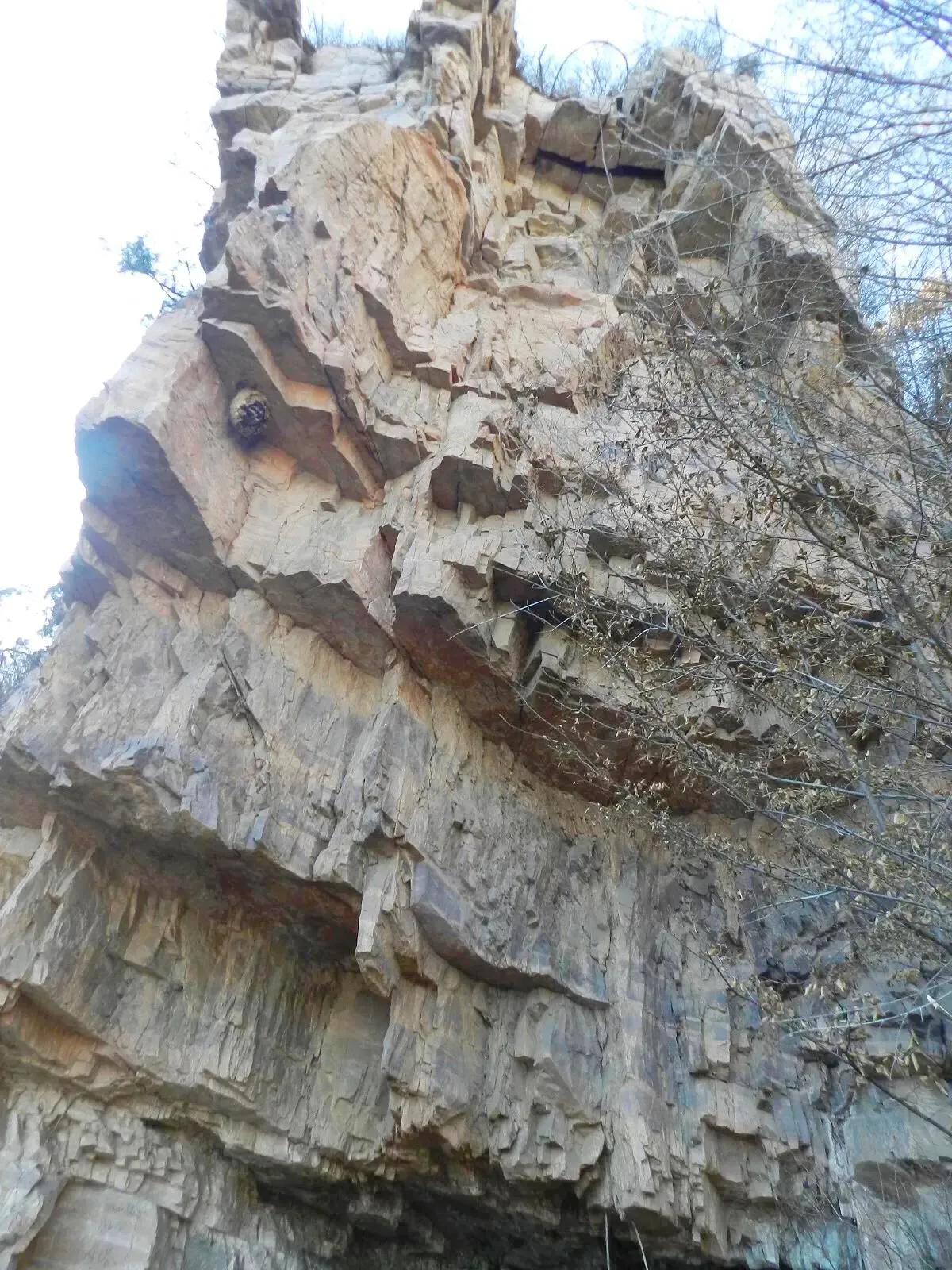 在山里迷路遇到狐狸,在山里迷路遇到了好漂亮的小姑娘