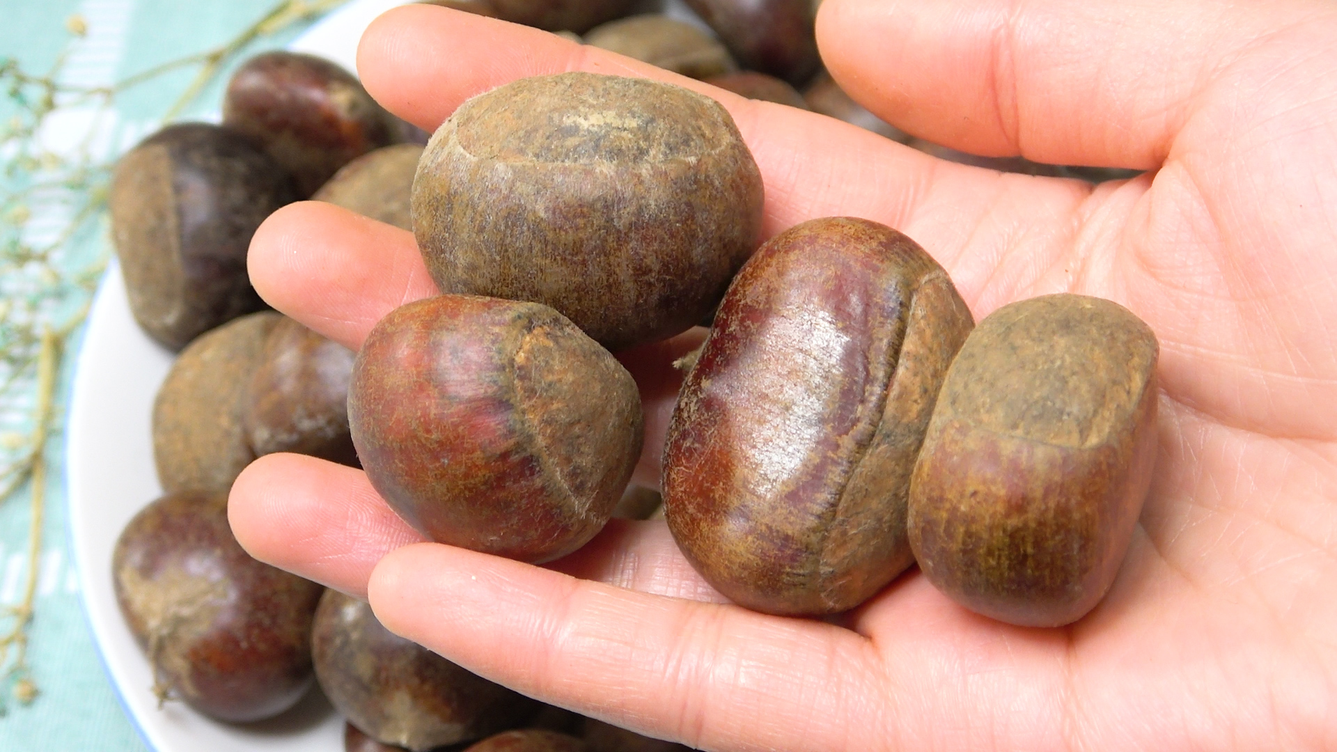 买板栗要带壳还是不带壳,买板栗挑扁的还是圆的