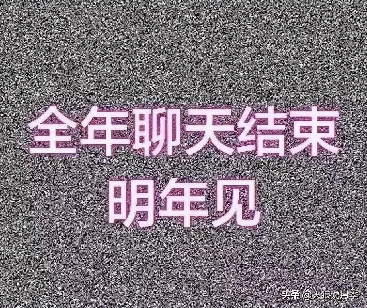 2022年天狼月季新品,月季天狼新品曝光