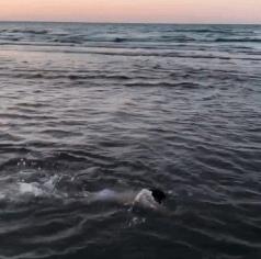 伊朗6岁男孩练出6块腹肌,伊朗男模腹肌