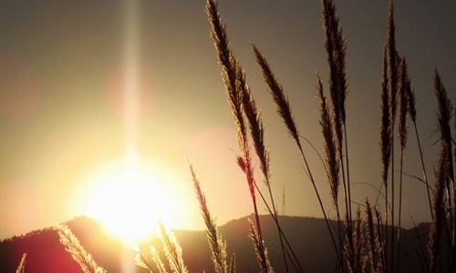 江记酒庄品牌的破局之路,江记酒庄糯米酒