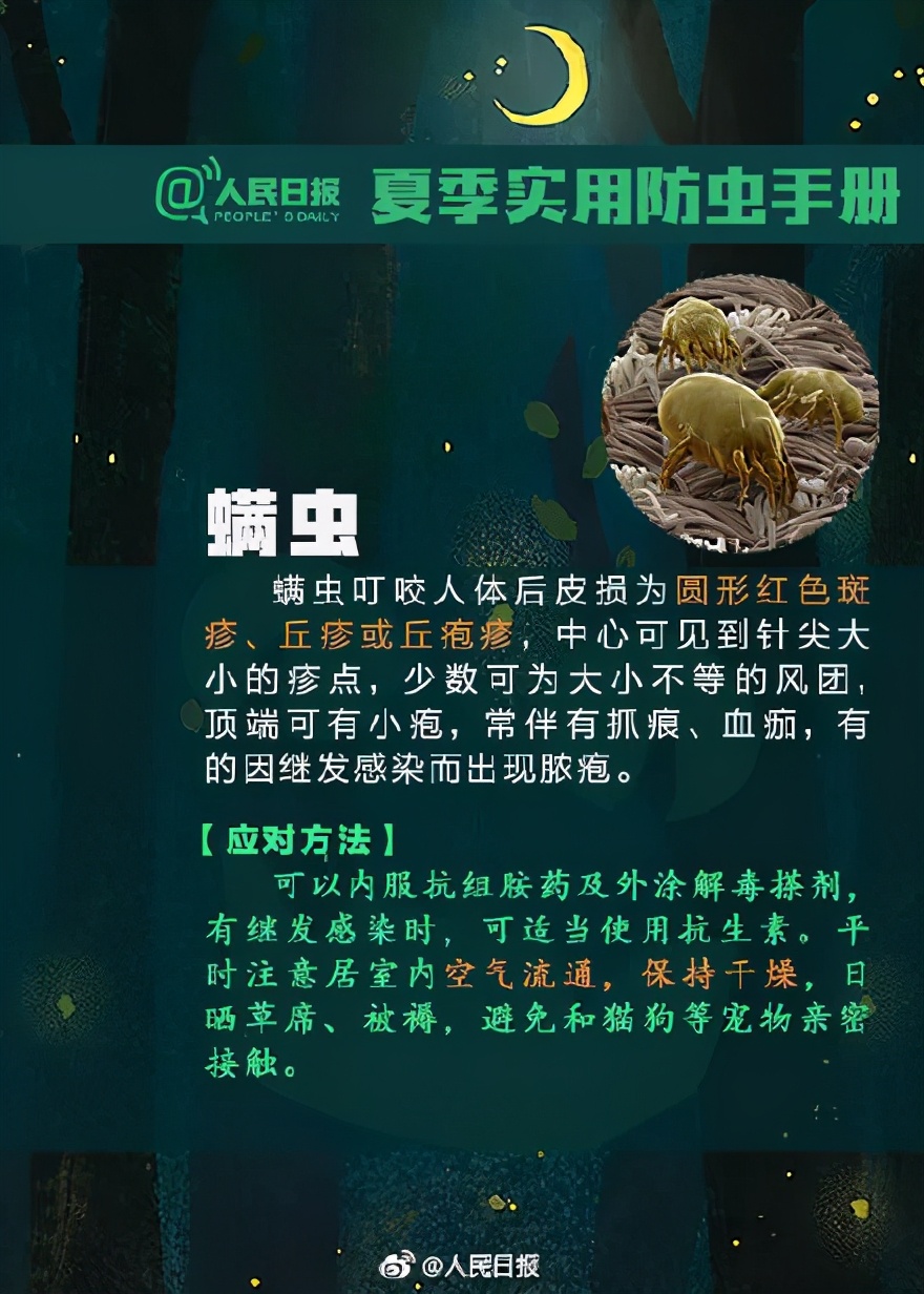 3岁女儿被毒虫“咬一口”差点毁容:这套实用防虫手册,记得收藏