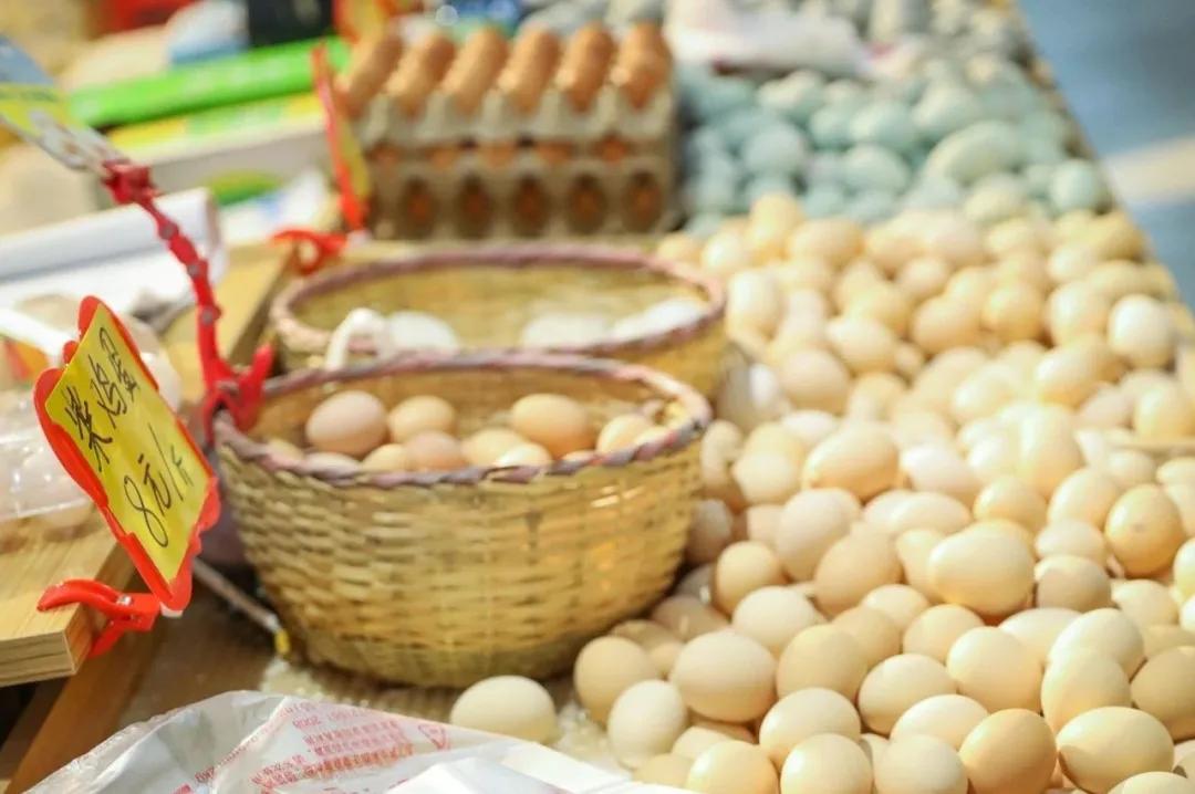 北京最大的露天花卉,北京最大的花卉大观园