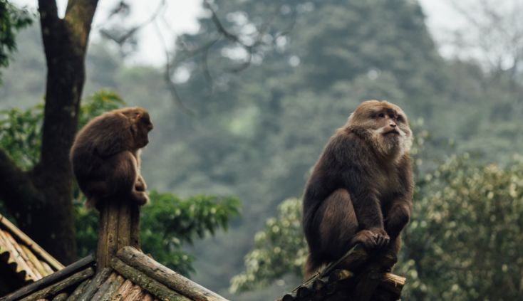 一生必去的中国50个最美地方,中国秋天最美的十个地方