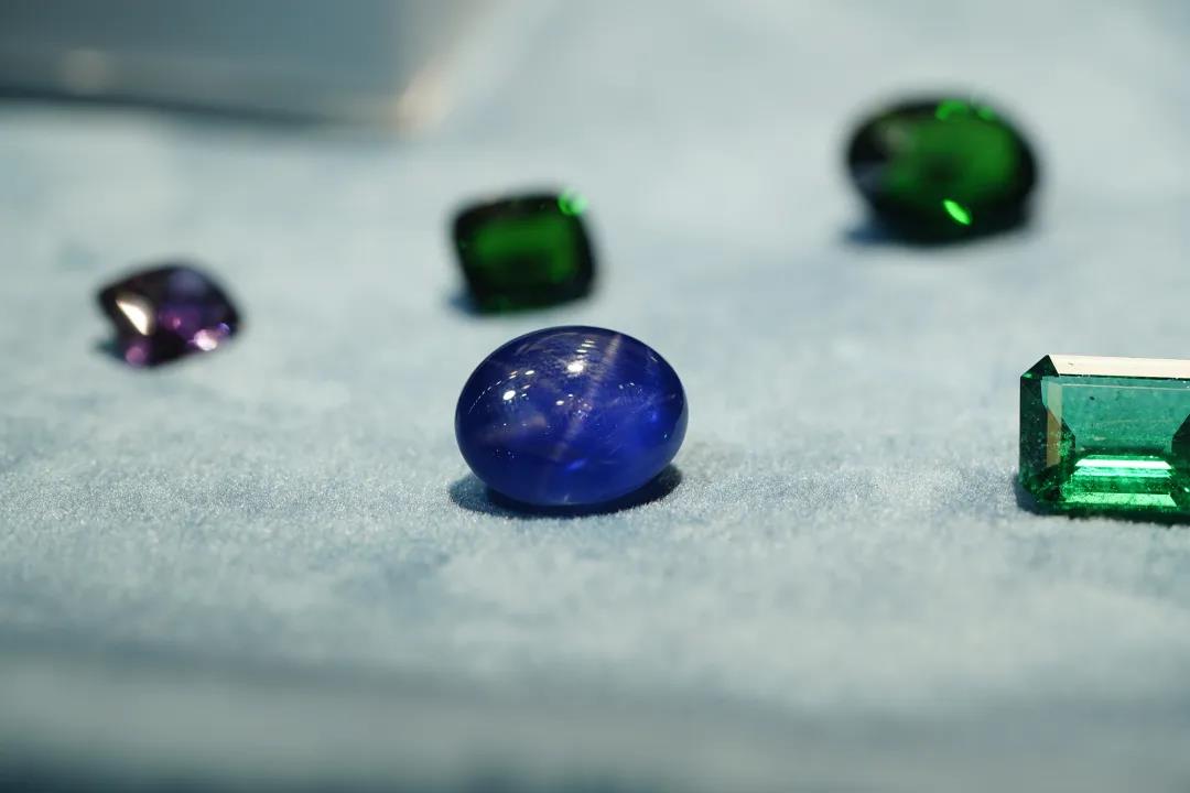 市场报告：小坦桑大机遇！一场悄悄来临的蓝色风暴