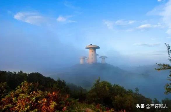 曲靖麒麟区海拔高度是多少,云南曲靖会泽县海拔多少米