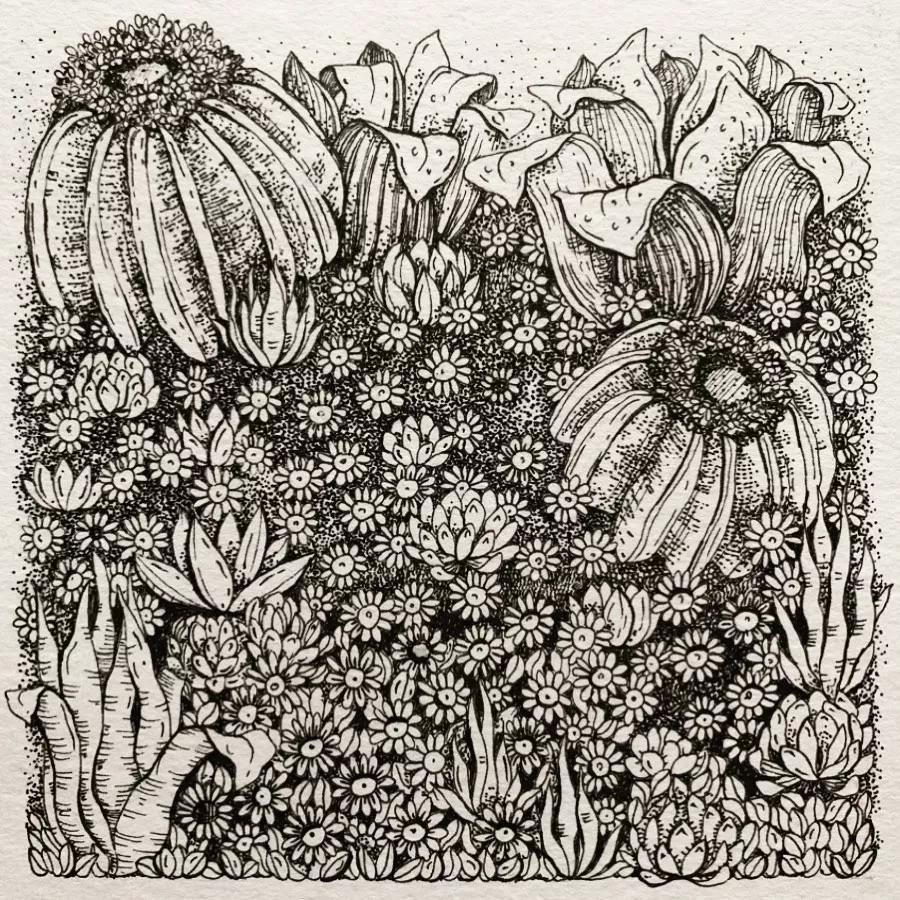 一看就懂的针管简笔画,针管笔入门手绘1000例临摹图