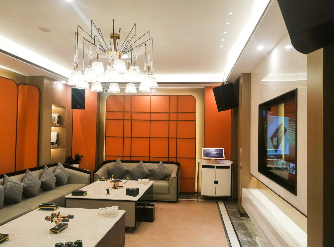 唐龙太极音响运动会,唐龙太极最高端娱乐音响