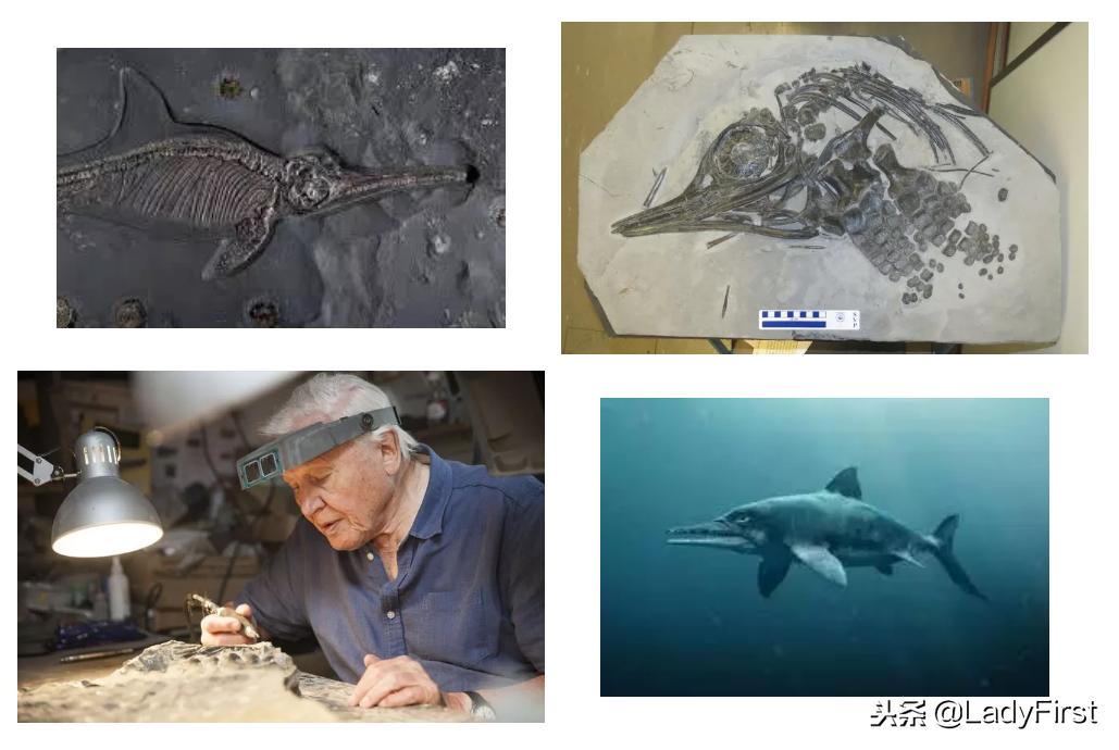 提升女孩子气质的纪录片,女性提高见识的电影