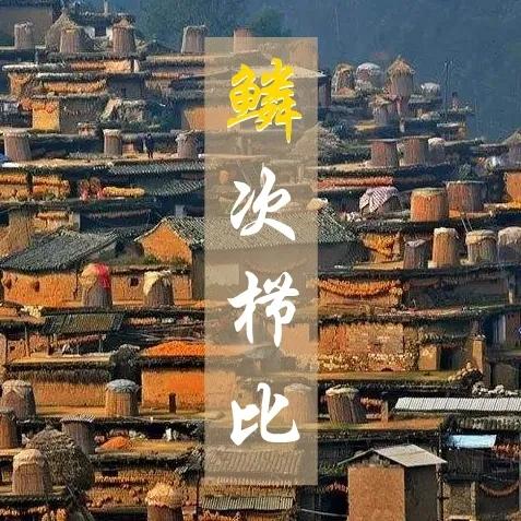 鱼鳞能有什么功效,鱼鳞有用吗