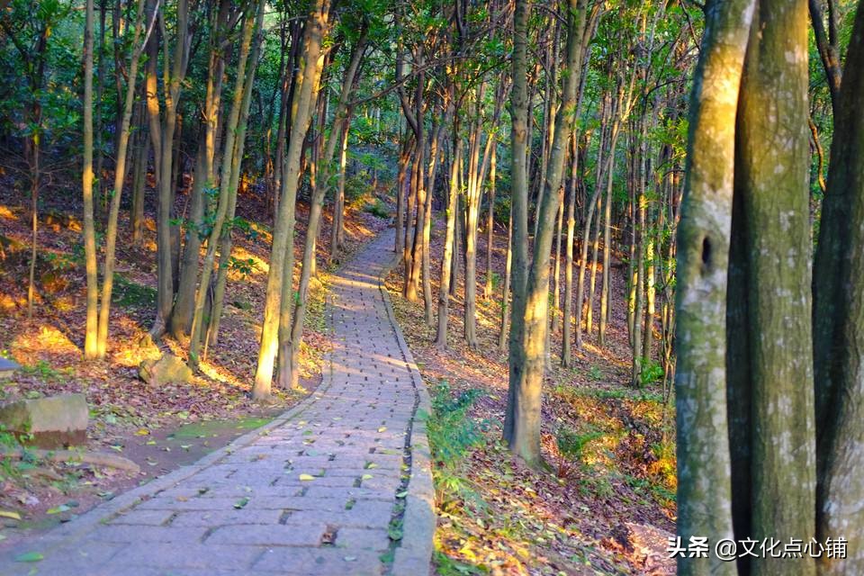 您心中的苏轼是什么样的?如果用一首词来形容,你会选择哪首?