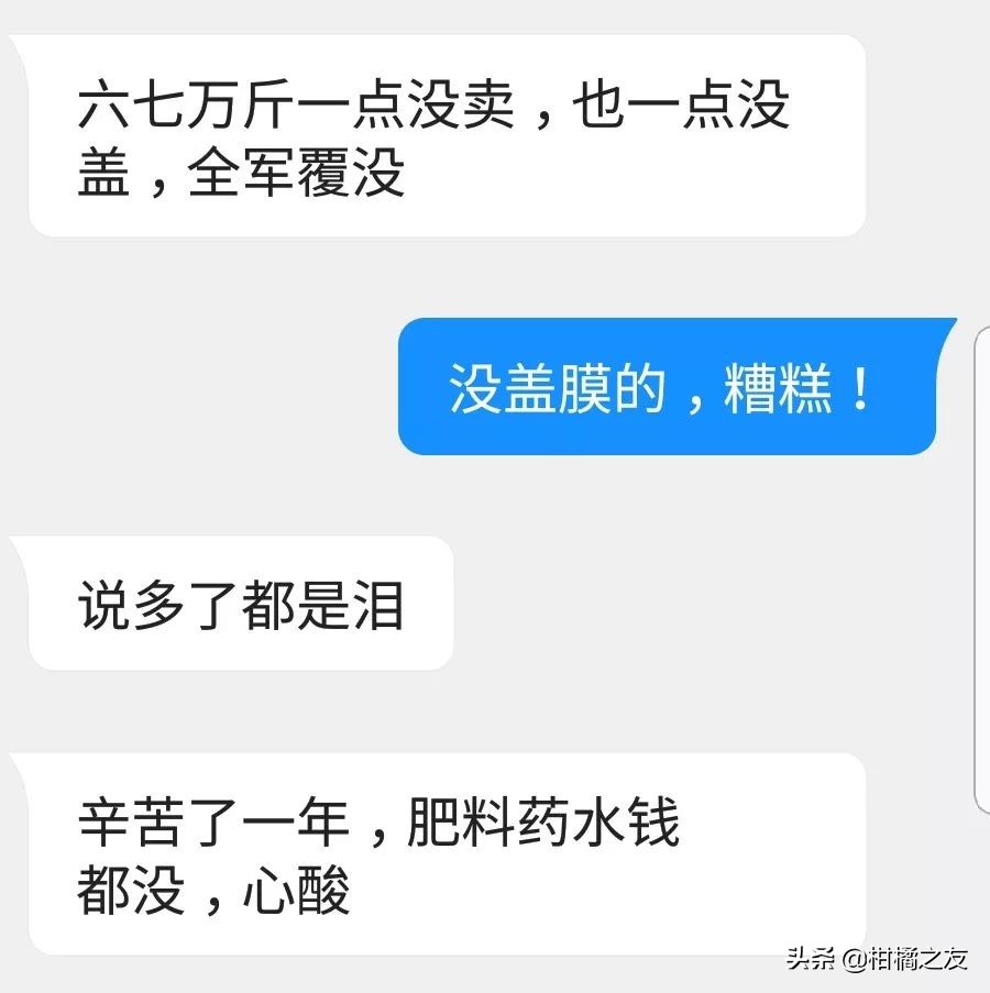 全国沙糖桔收购客商电话,寻找收购沙糖桔次果的厂家