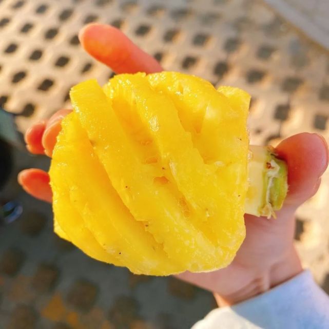 泰国小菠萝又脆又甜,泰国香水小菠萝长什么样子