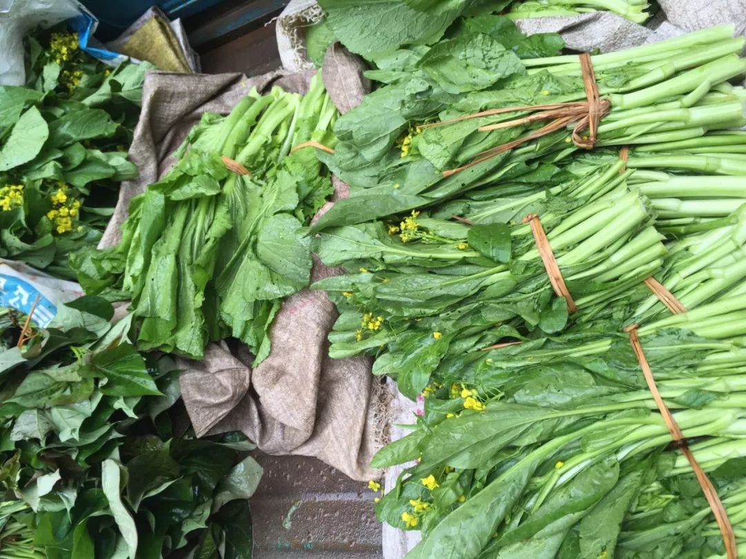 烟雨中的桂林旅行,回忆2018桂林游