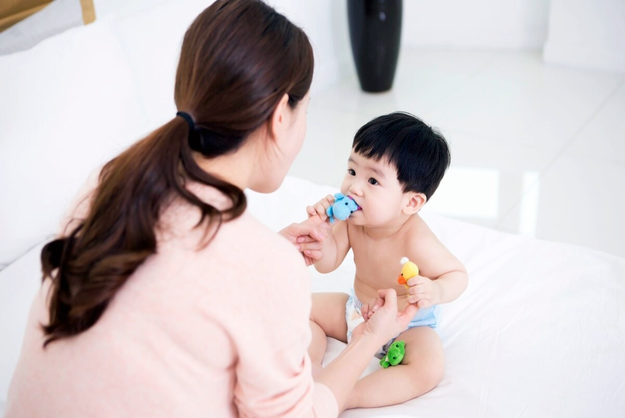 简单的早教项目,在家早教0-3岁早教推荐