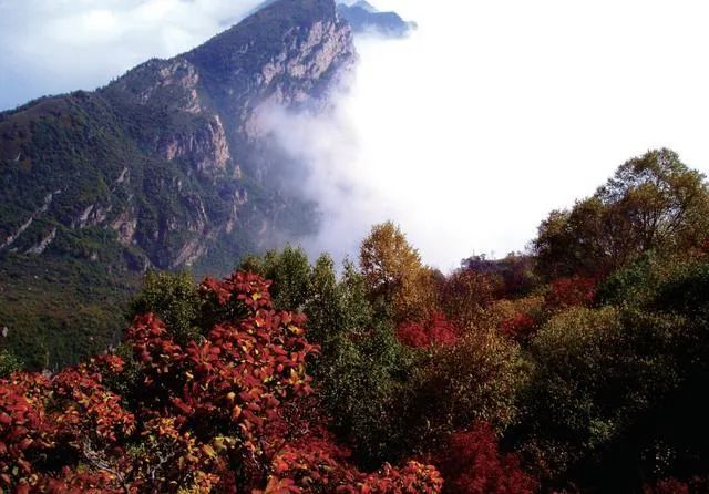 阜平天生桥，鬼斧神工，天地造化！