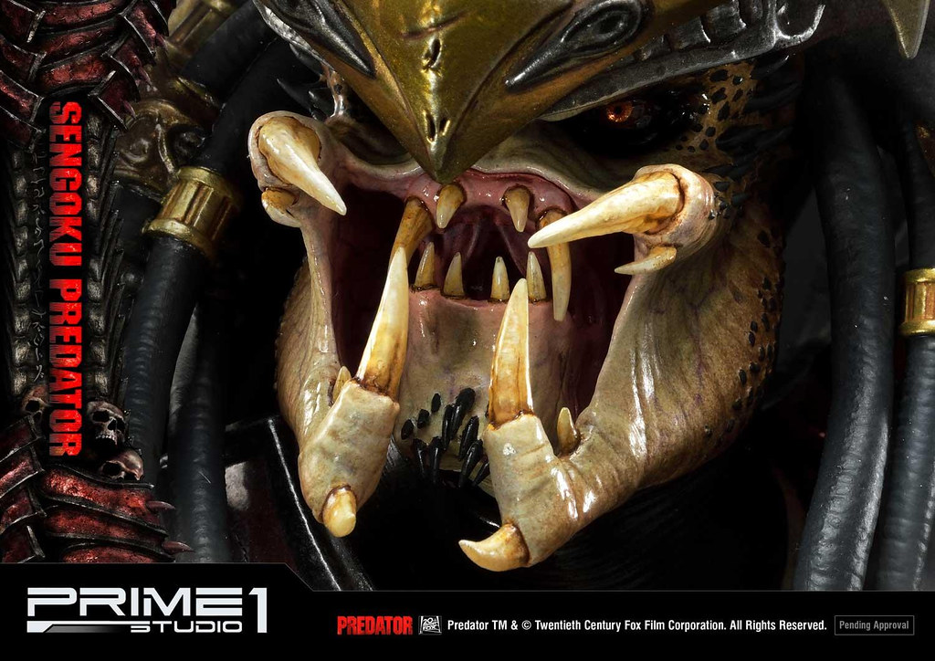 模玩前线：P1S战国铁血武士！宠物小精灵一堆新品