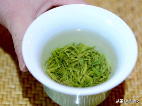 拖把太脏难清理教你一招秒变新,拖把太脏了怎样清理