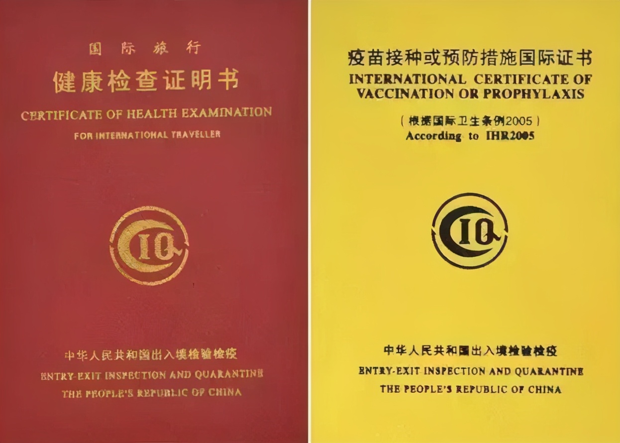 留学生体检项目介绍,留学生必看最新最全的留学体检