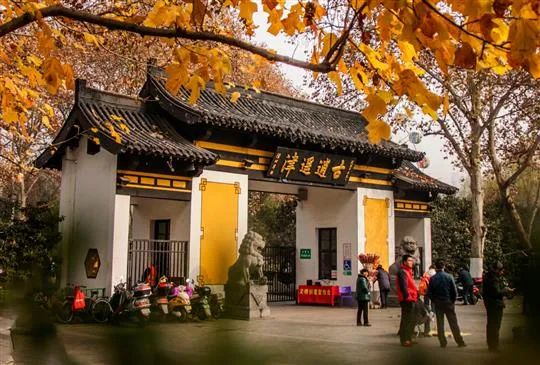 国庆肥西十大网红打卡地,合肥春游打卡攻略