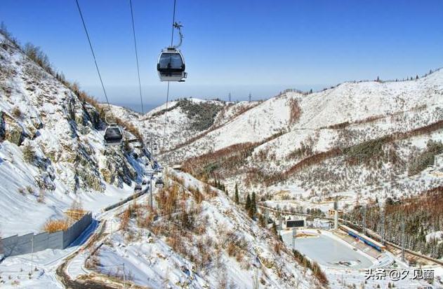 哈萨克斯坦冻死的牛,哈萨克斯坦动物被冻成冰雕