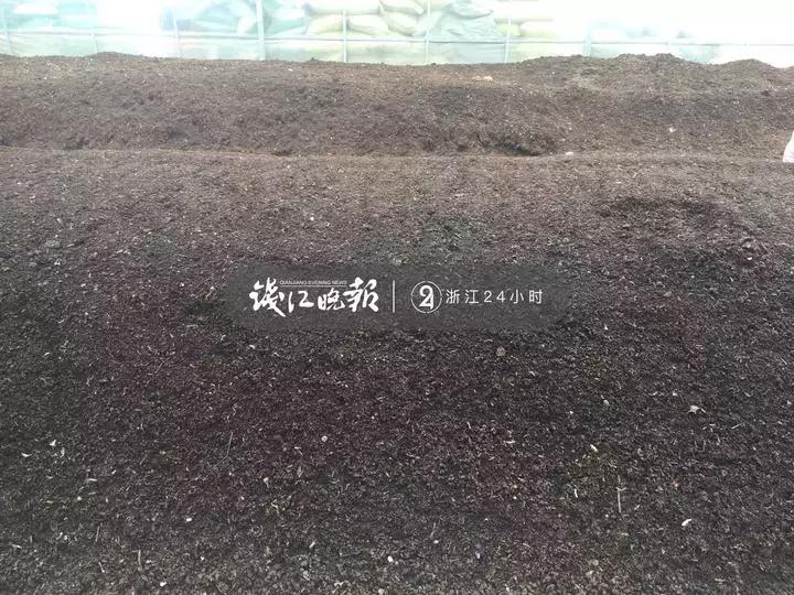 浙大博导年收入多少,浙大博士一辈子可以赚多少钱