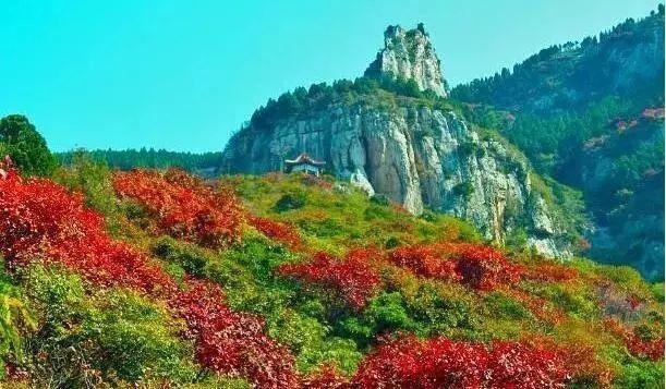 济南旅游景点推荐带孩子玩,济南旅游景点推荐适合带孩子