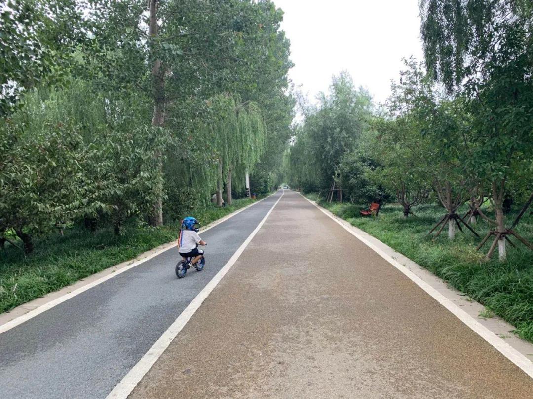 淄博慢城旅游攻略,淄博慢城