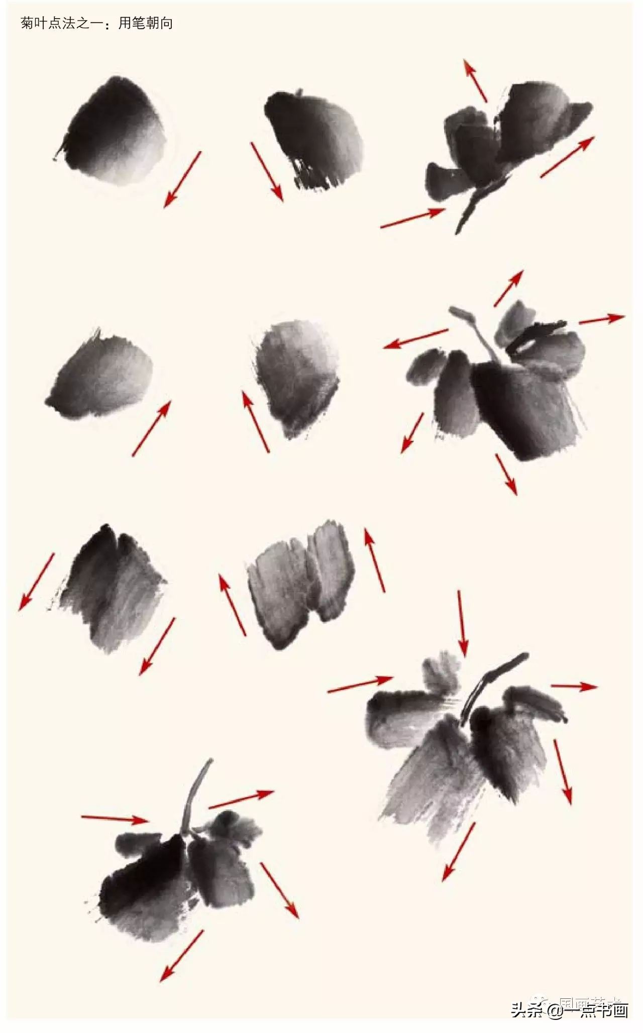 菊花画法教程简笔画,菊花拟人画法