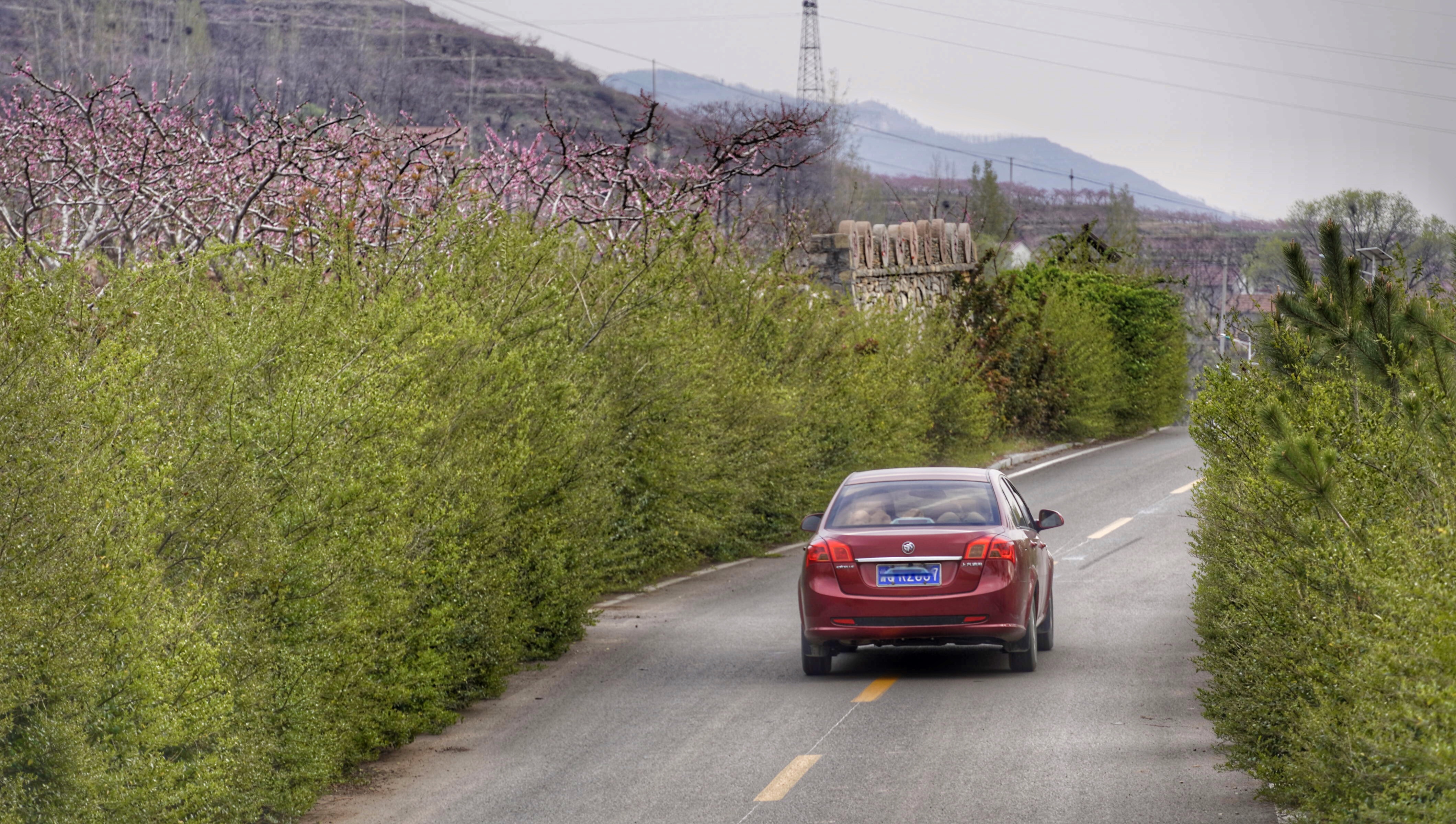 岱崮地貌只有沂蒙山区有吗,沂蒙山世界地质公园岱崮园区