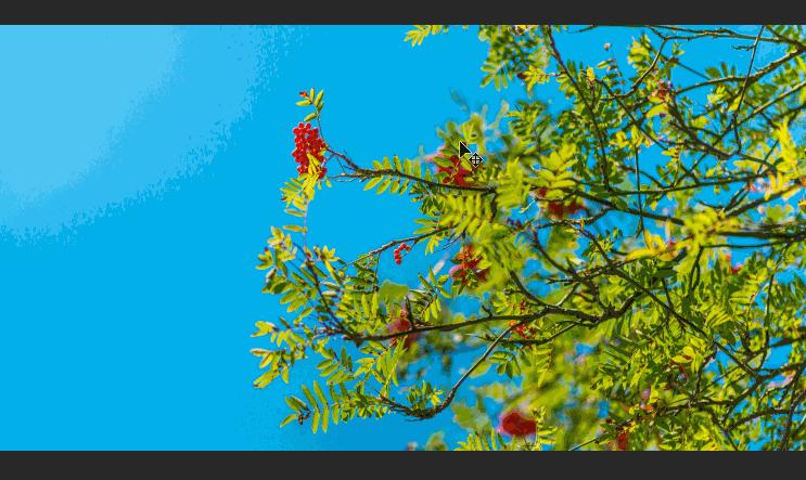 ps抠图线下教程,ps教程五种常用抠图方法