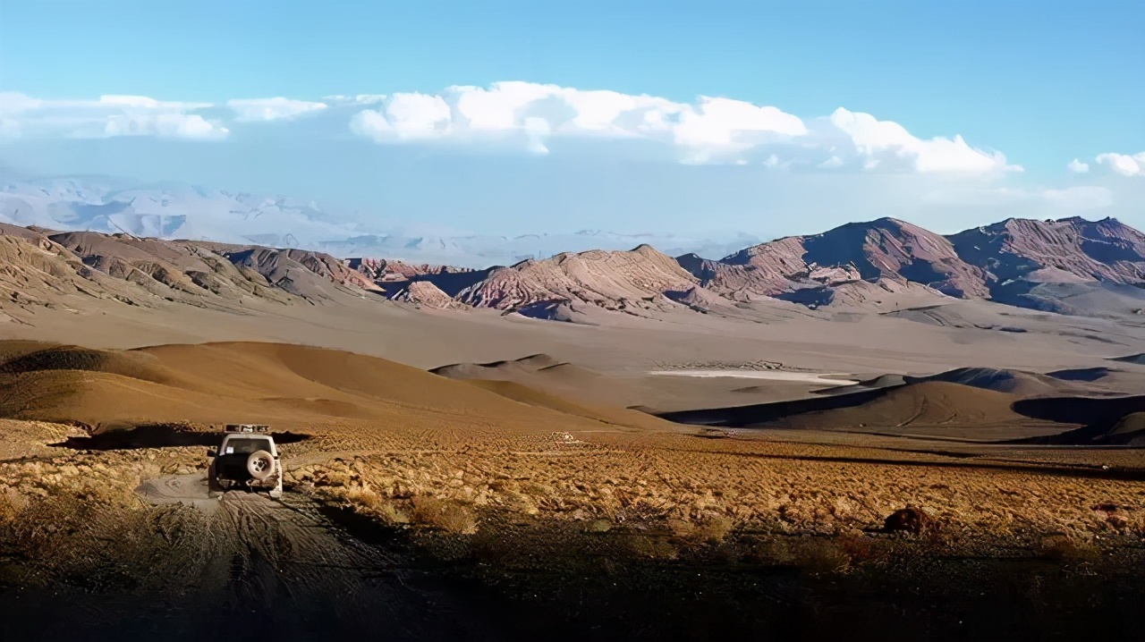 龙猫饲养视频,龙猫饲养全科普