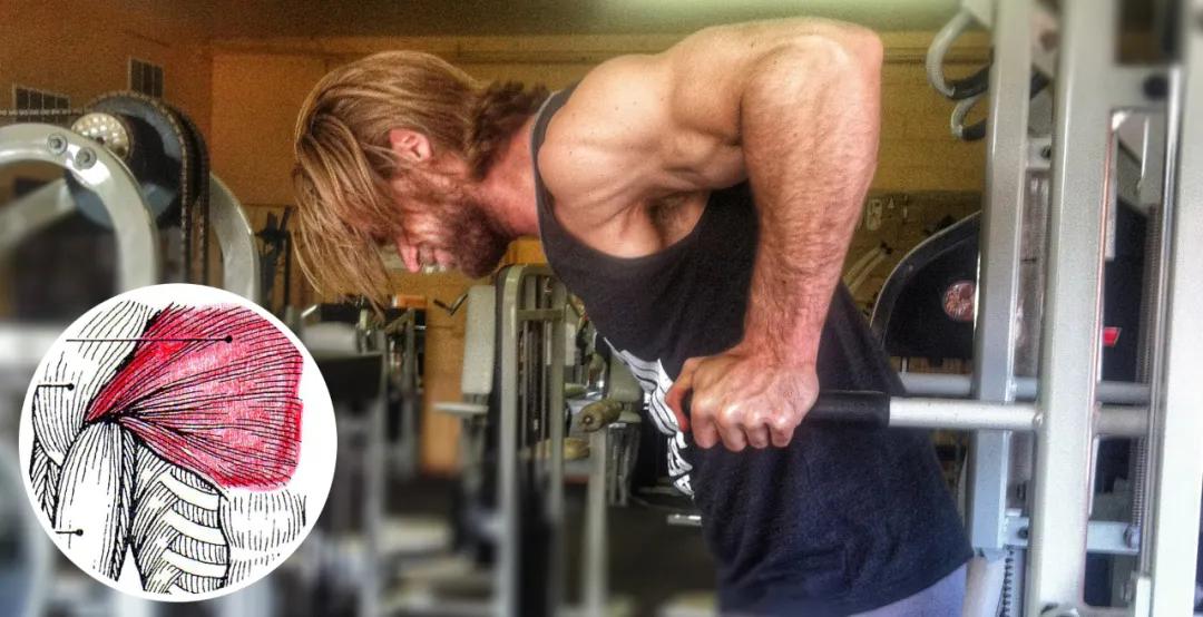 健身房练胸肌夹胸最好的器械教程,比俯卧撑更有效的上肢训练